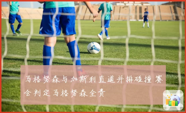 马格努森与加斯利直道并排碰撞 赛会判定马格努森全责