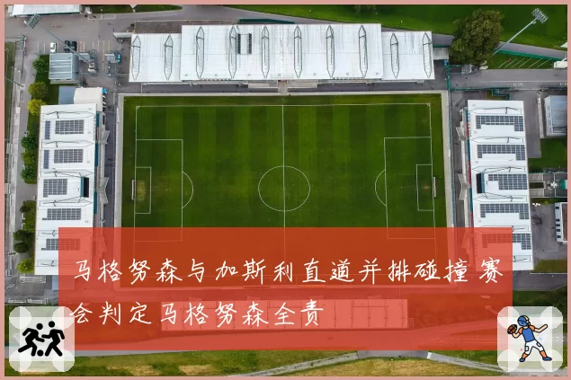 马格努森与加斯利直道并排碰撞 赛会判定马格努森全责