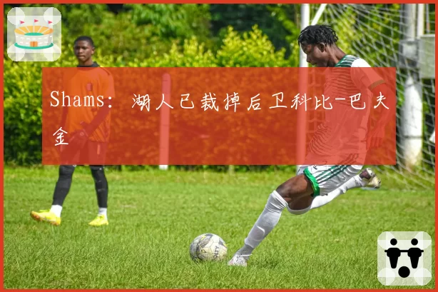 Shams:湖人已裁掉后卫科比-巴夫金