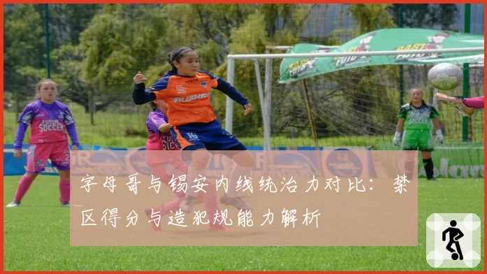 字母哥与锡安内线统治力对比：禁区得分与造犯规能力解析